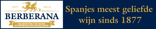 Banner_Berberana 538_100